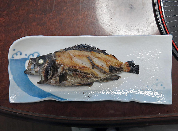 dinner #1