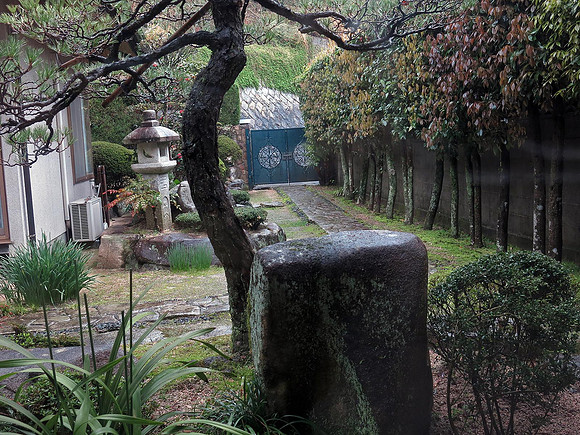 view from living room window