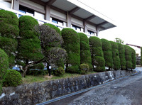 The grounds leading to the temple in Fukuoka.