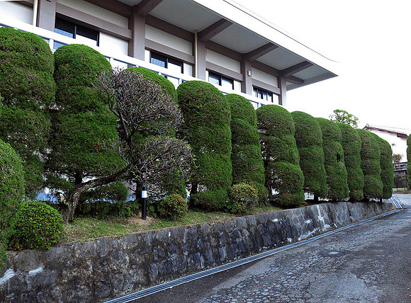 The grounds leading to the temple in Fukuoka.