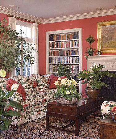Client: Ortho Books
