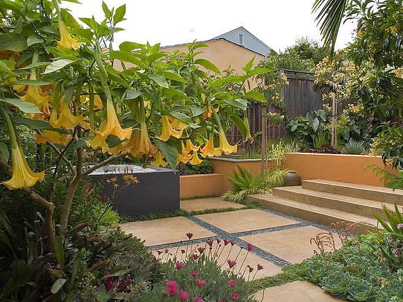 Client: David Feix Landscape Design