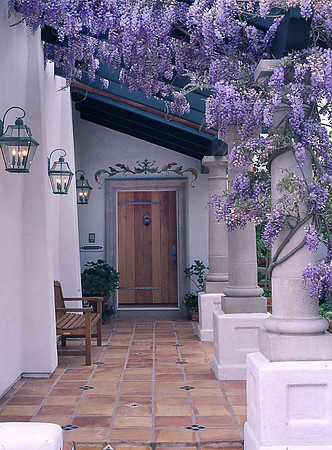 Wisteria