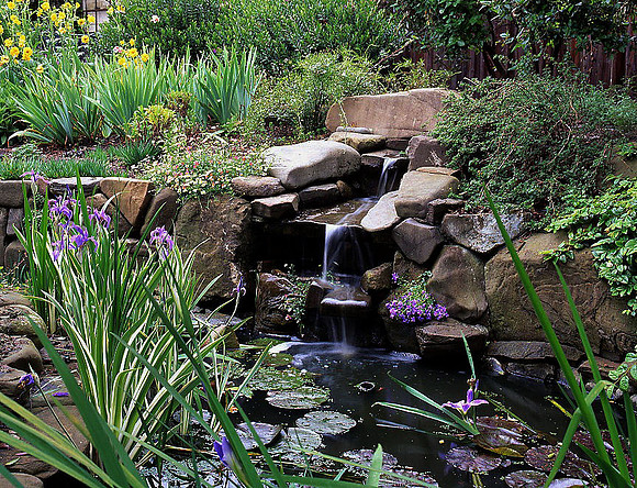 Client: Potomac Waterworks